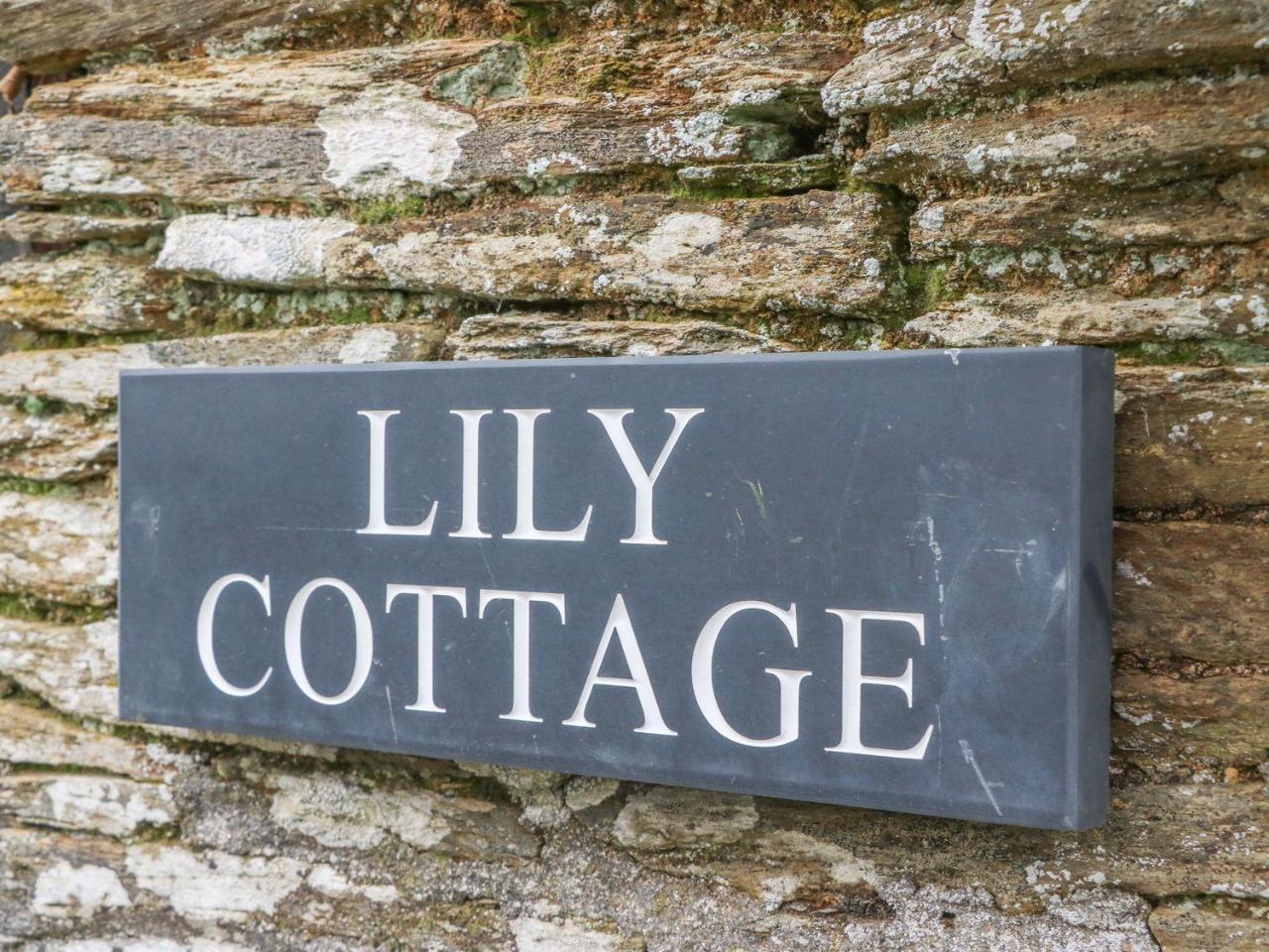 Lily Cottage Looe Esterno foto